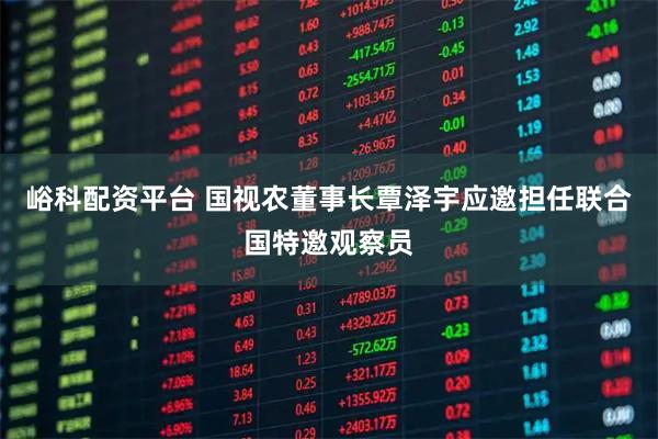 峪科配资平台 国视农董事长覃泽宇应邀担任联合国特邀观察员