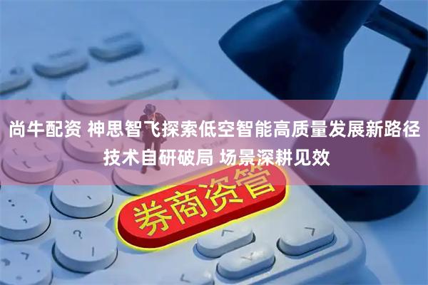 尚牛配资 神思智飞探索低空智能高质量发展新路径 技术自研破局 场景深耕见效